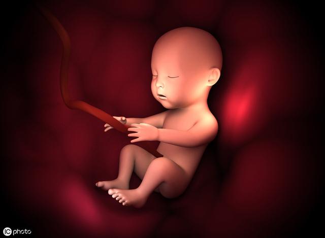 怀孕8个月胎儿图（怀孕8个月胎儿长什么样）(2)